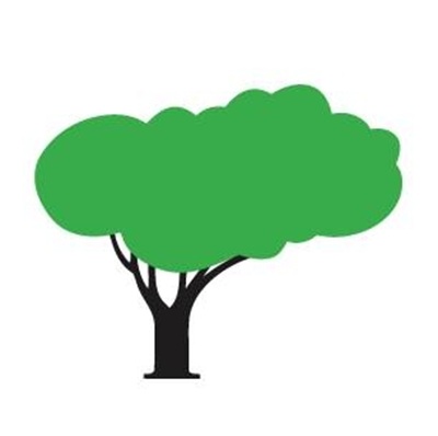 Green Magic Lawn and Landscape - SavATree